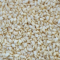 Sesame White