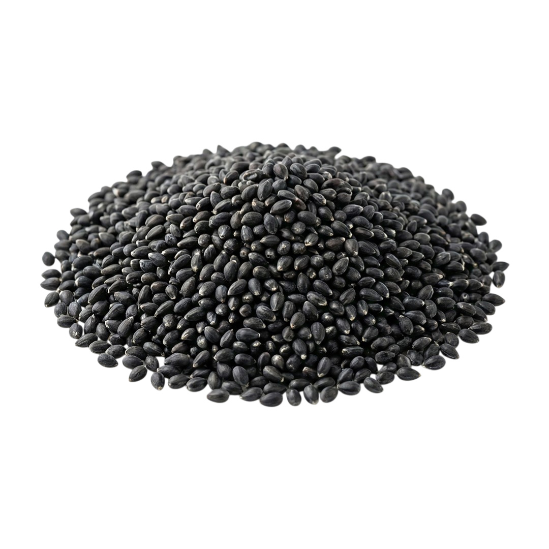 Basil Seeds