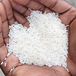 Elongation Reference Scale