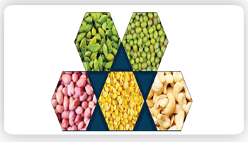 Multi Commodity Sorting