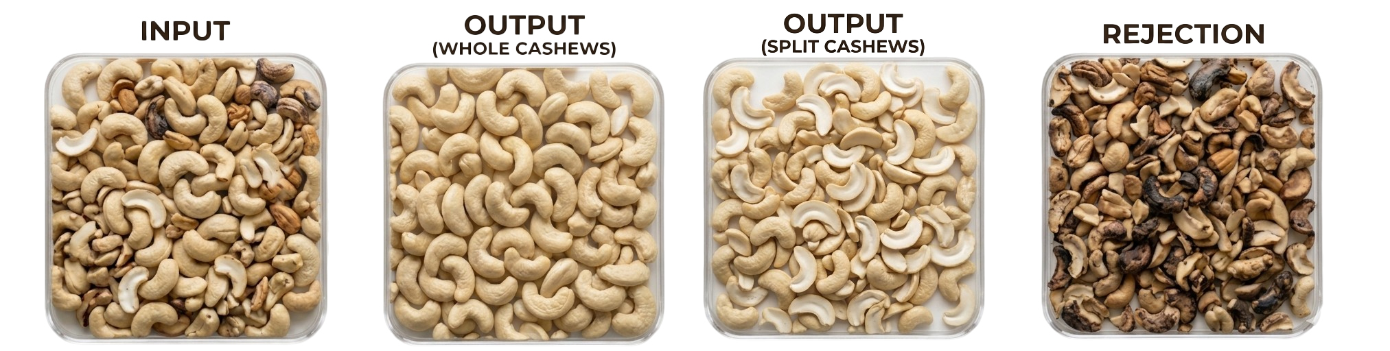 Cashew Nuts