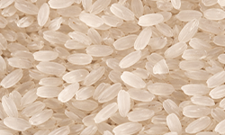 Semi Polished Rice