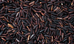 Black Rice