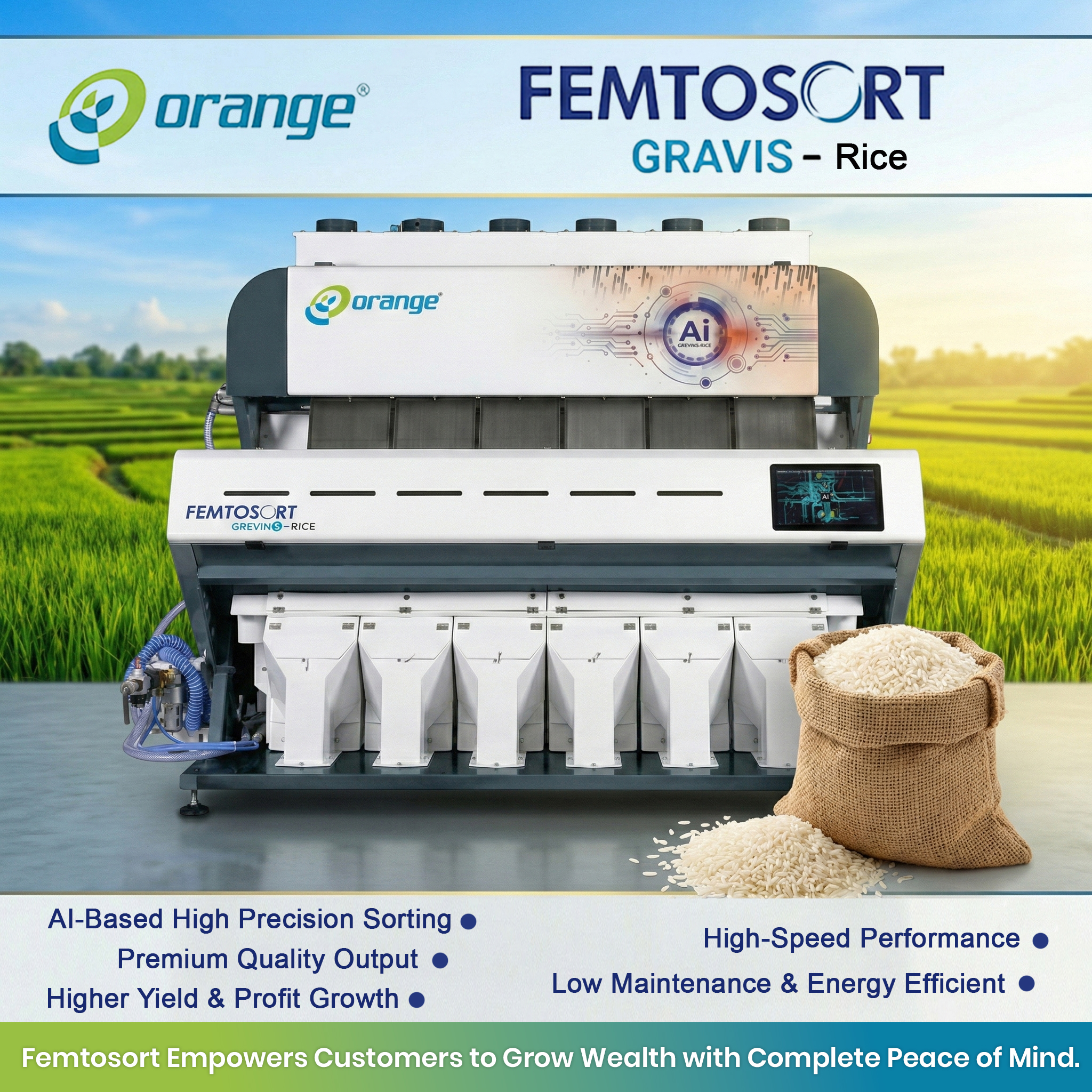 Rice Sorting Machine Manufacturers in India