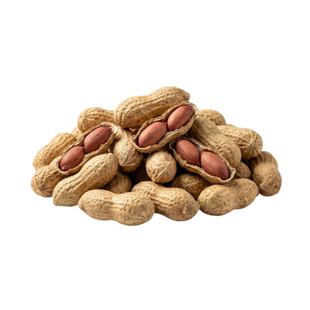 Groundnuts