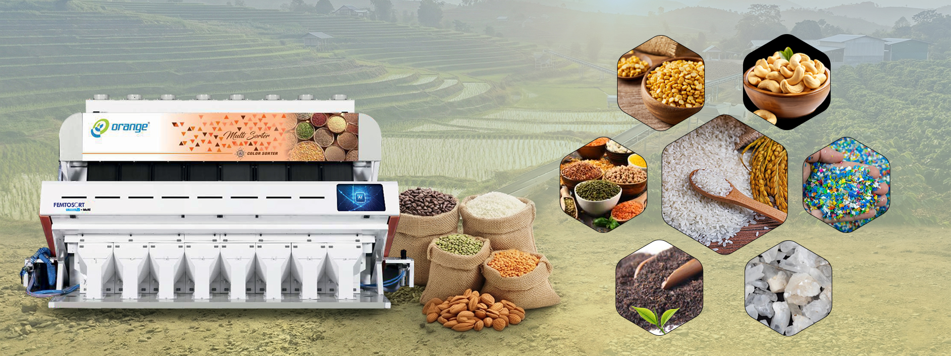 Color Sorting solution